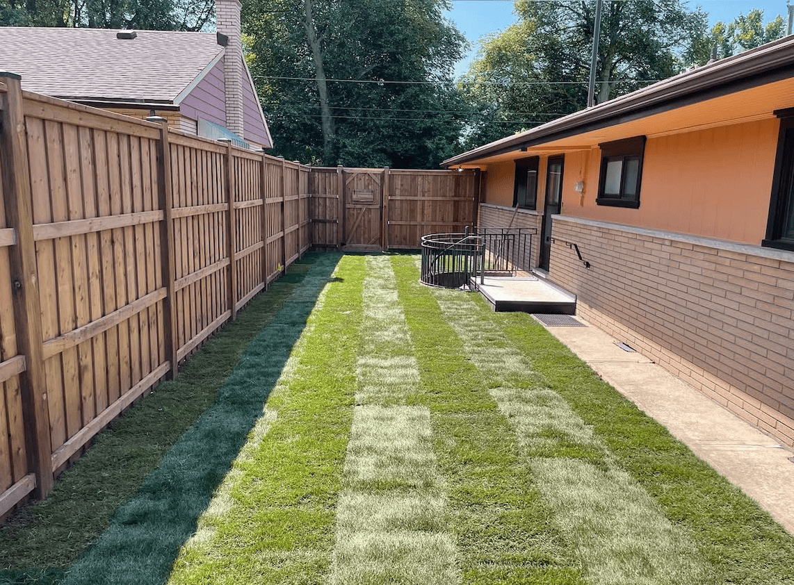 Screenshot 2025-06-15 at 3.21.35 PM